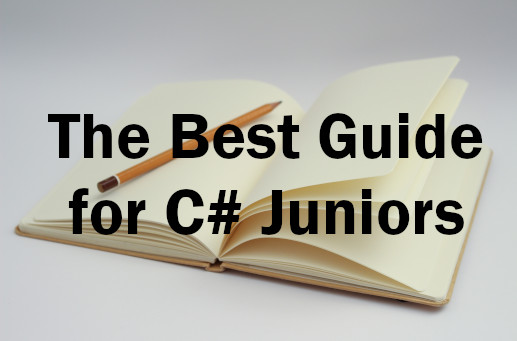 Guide Juniors